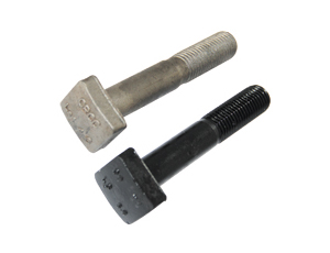 Square Head Track Bolt